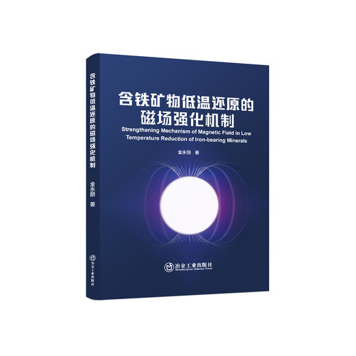 含铁矿物低温还原的磁场强化机制/金永丽著 商品图0