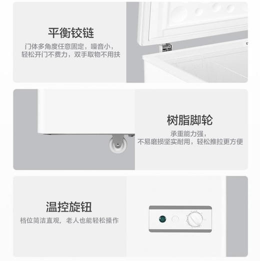 海尔（Haier）冰柜BC/BD-146HMP 商品图12