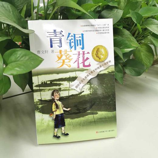 (仓发) 青铜葵花曹文轩  入选人教社四年级下语文教材 一线名师指定全套完整版 课外阅读 暑期阅读 课外书/江苏凤凰少年儿童出版社/曹文轩/9787534633362 商品图1