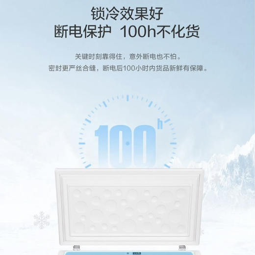 海尔（Haier）冰柜BC/BD-146HMP 商品图3
