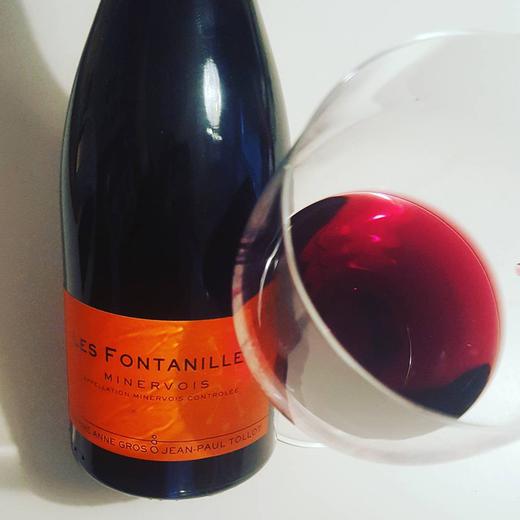 南法“里奇堡”！安妮格罗米内瓦枫丹尼干红Domaine Anne Gros et Jean-Paul Tollot Minervois Rouge Les Fontanilles 2019 商品图3