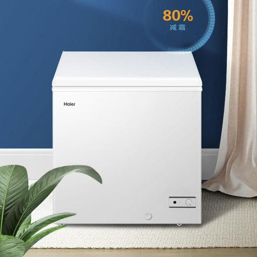 海尔（Haier）冰柜BC/BD-146HMP 商品图0
