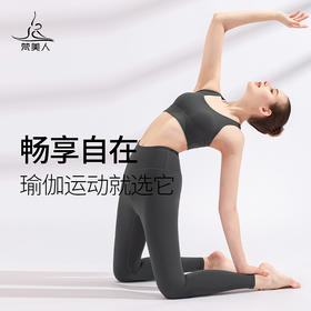 FS871T  梵美人 专业文胸