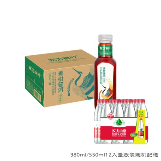 东方树叶青柑普洱茶550ml*15入1箱+550ml或380ml*12入量贩装1包-随机发送 商品图0