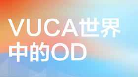 Matt Minahan VUCA 06