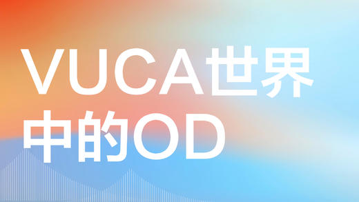 Matt Minahan VUCA 02 商品图0