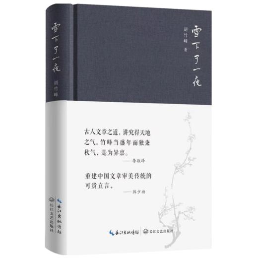 【签名本】《雪下了一夜》胡竹峰 著 商品图0
