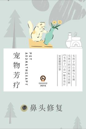 《宠芳案例——鼻头修复》