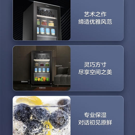 卡萨帝（Casarte）冰吧 DS0112LCS6B1 商品图3