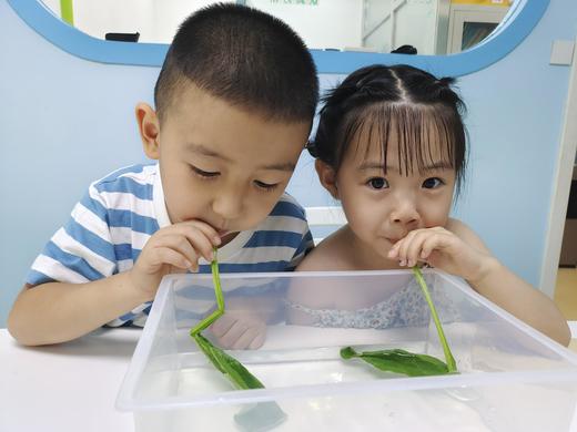 【伽牛STEM科创中心@朝阳区】29元抢购3次科学精品课，科技教育引领创新文化，给孩子埋下创新的种子。数量有限！抢完为止！ 商品图2