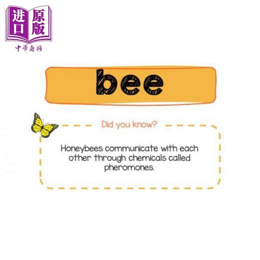 【中商原版】新加坡原版教辅 新版CPD Flashcards 幼儿英语启蒙抽认卡系列 昆虫（配教学活动） Insects(with activities) 商品图4