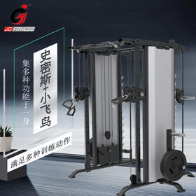 【塑形器械】史密斯小飞鸟龙门架综合训练器商用力量家用多功能组合健身房