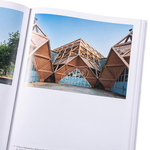 【中商原版】The Project of Independence 进口艺术 独立计划 商品图3