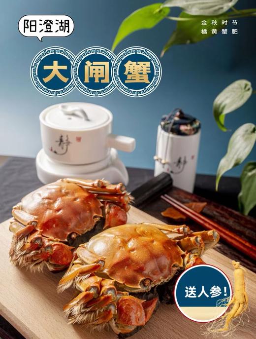 【宝盛】阳澄湖大闸蟹蟹卡 商品图3