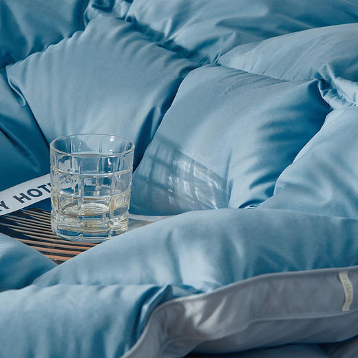 10楼 富安娜 蓝屿双面抗菌红嘴雁鸭绒四季被【绒子含量90%吊牌价3980-4580元 活动价1599-1699元 商品图2