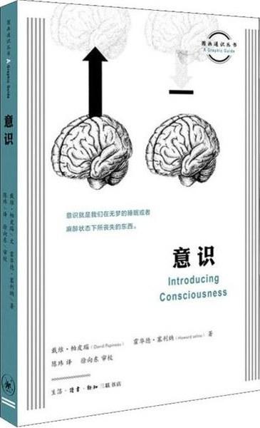 图画通识丛书：意识 商品图0