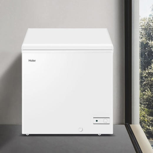 海尔（Haier）冰柜BC/BD-146HMP 商品图9