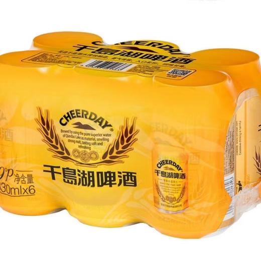 千岛湖啤酒330ml*6 商品图0