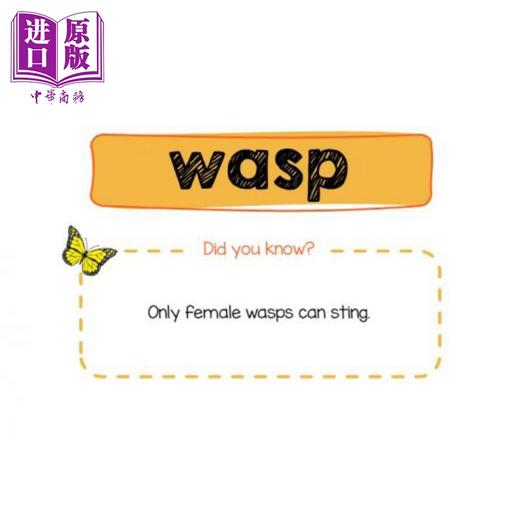 【中商原版】新加坡原版教辅 新版CPD Flashcards 幼儿英语启蒙抽认卡系列 昆虫（配教学活动） Insects(with activities) 商品图2