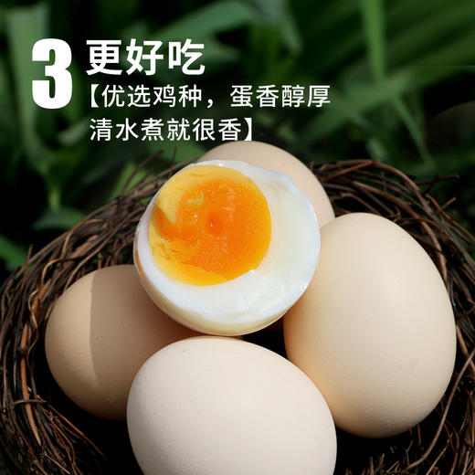 【密农特色 必买榜单】农家安鲜柴鸡蛋 土鸡蛋  纯粮喂养0激素 30枚/60枚 包邮装 商品图1