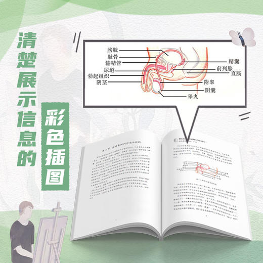 男孩的青春期性教育 商品图2