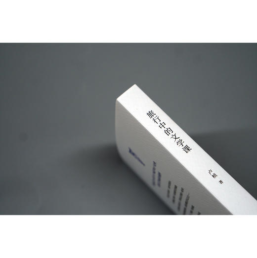 (仓发) 旅行中的文学课/广西师范大学出版社/卢桢/9787559830753 商品图5