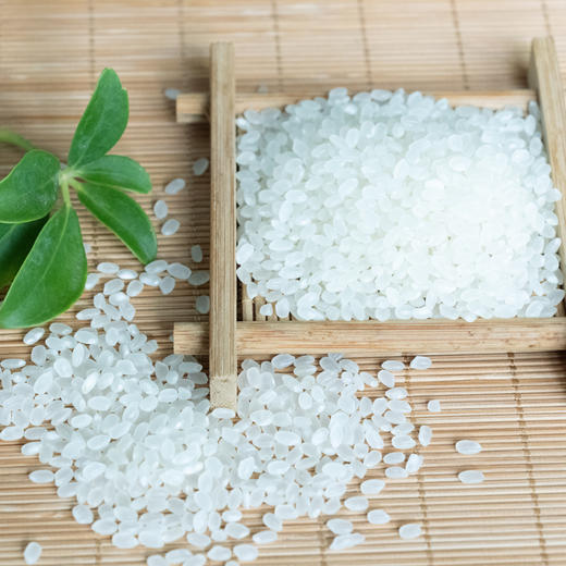 自然农法小町米  10斤 商品图1