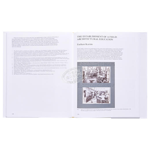 【中商原版】The Project of Independence 进口艺术 独立计划 商品图5