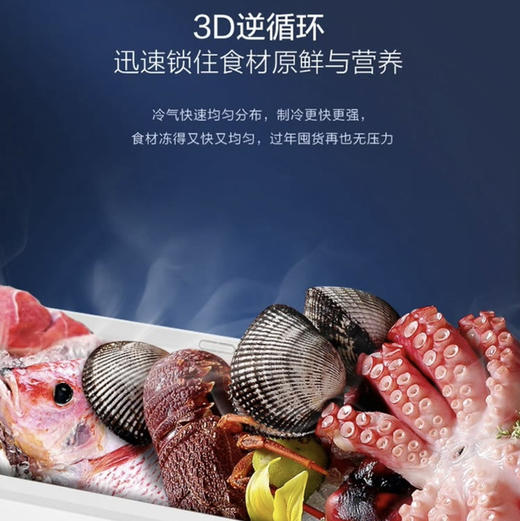 海尔（Haier）冰柜BC/BD-146HMP 商品图4