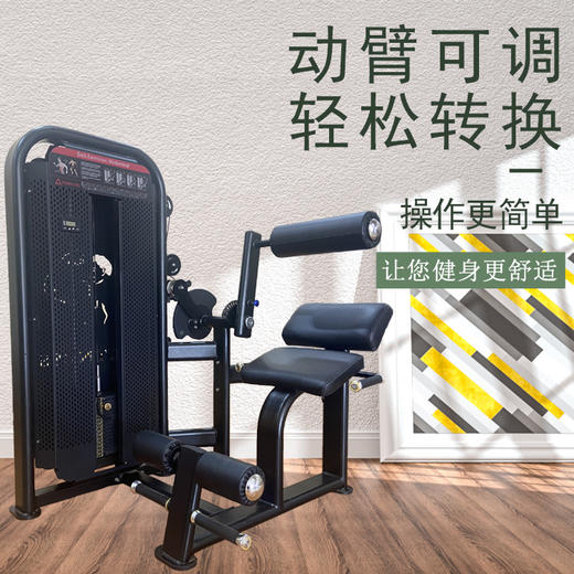 【塑形器械】6666腹肌背肌一体机多种功能商用腹背部肌肉力量器械健身房两用机 商品图1