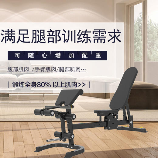 【塑形器械】ZH11多种功能训练椅家用多种功能哑铃凳可调健身椅商用健身房力量 商品图3