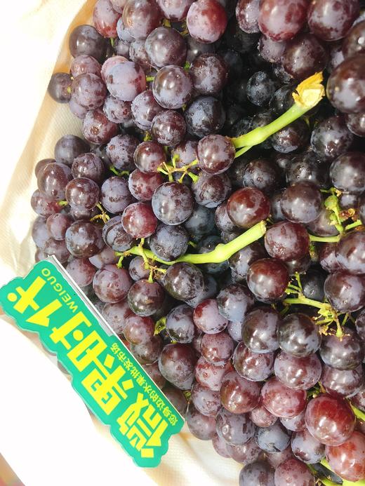 火焰无核葡萄二斤（拼团） 商品图1