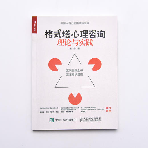 格式塔心理咨询理论与实践 王铮心理学书籍格式塔心理咨询团体咨询格式塔心理基础入门书团体心理治疗心理疗愈心理自助心理咨询师 商品图8