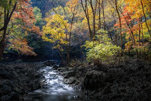 10月5日出发，东北内蒙秋色·辽宁本溪红叶、奈曼旗沙漠、怪柳8天摄影 商品图12