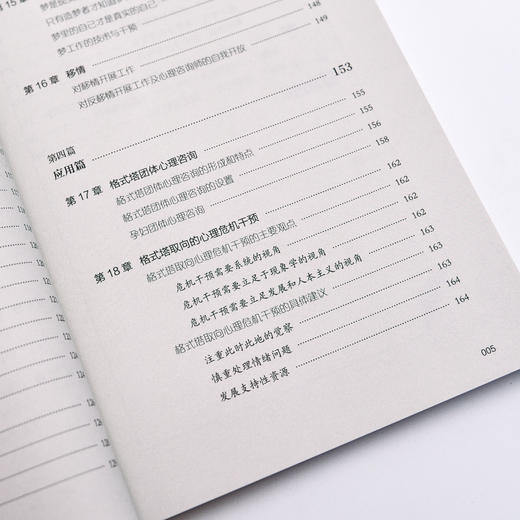 格式塔心理咨询理论与实践 王铮心理学书籍格式塔心理咨询团体咨询格式塔心理基础入门书团体心理治疗心理疗愈心理自助心理咨询师 商品图9