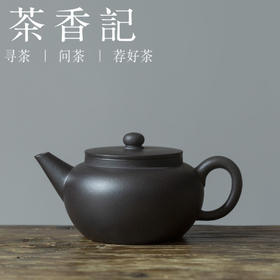 茶香记 黑料平盖水平 紫砂壶 90年代黑料 大气沉稳 经典实用