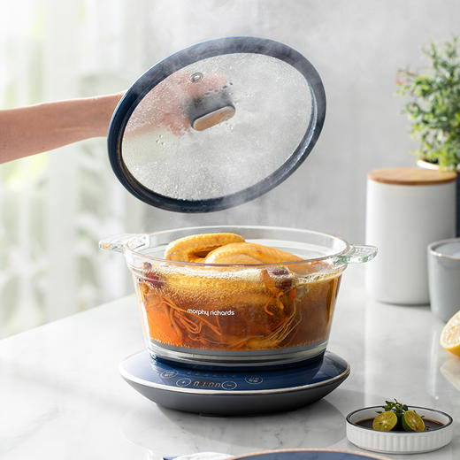 摩飞养生锅家用多功能隔水电炖锅煮粥煲汤锅MR9081 商品图3