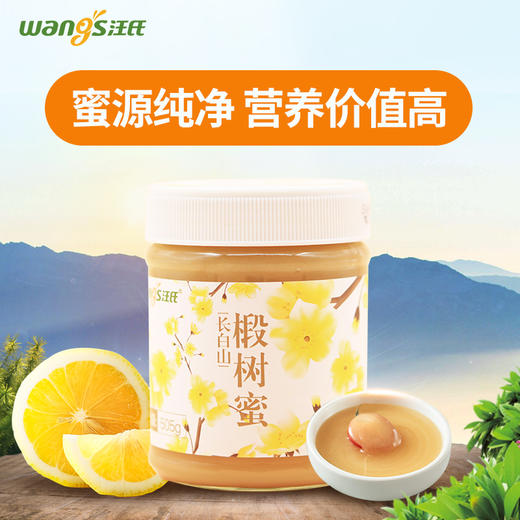 【汪氏】长白山椴树蜜505g 商品图1