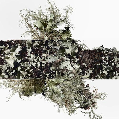 Hermes爱马仕橘绿之泉男士古龙水 EDC香水50-100-200ml 商品图3