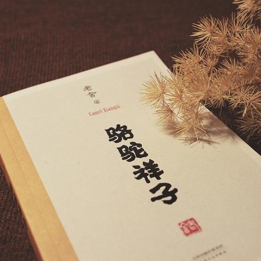 骆驼祥子 老舍 著 文学 商品图3