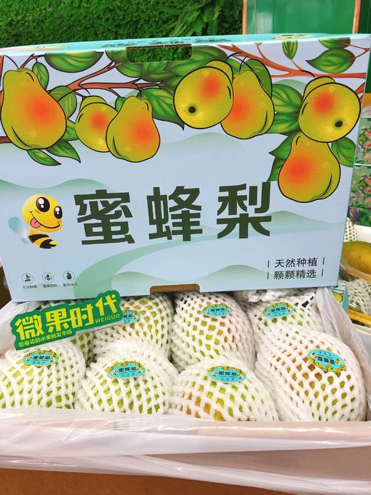 蜜蜂梨一箱（拼团） 商品图0