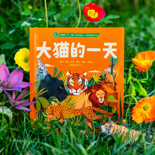 【4-8岁】动物的一天 大猫虫虫和鲨鱼 从早到晚忙什么 泰厄斯D威廉姆斯等著 沉浸式学习动物知识 体验环球科考 中信出版 商品图2