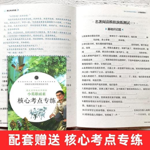 (仓发) 小英雄雨来 快乐读书吧六年级上册阅读小学生三四五六年级课外阅读书籍全本世界名著无删减无障碍青少年儿童文学读物故事书/应急管理出版社/管桦/9787502080235 商品图2