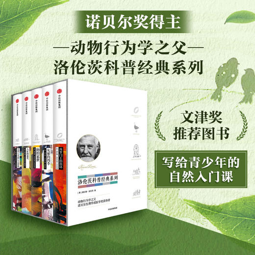 洛伦茨科普经典系列 商品图2