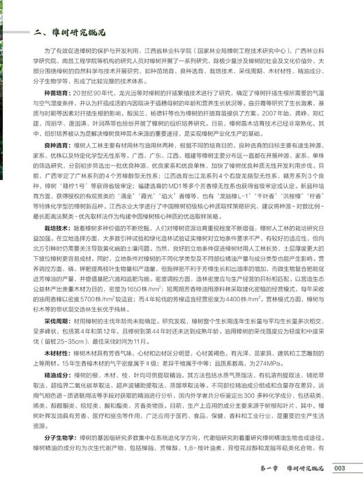 中国古樟1671
 商品图6