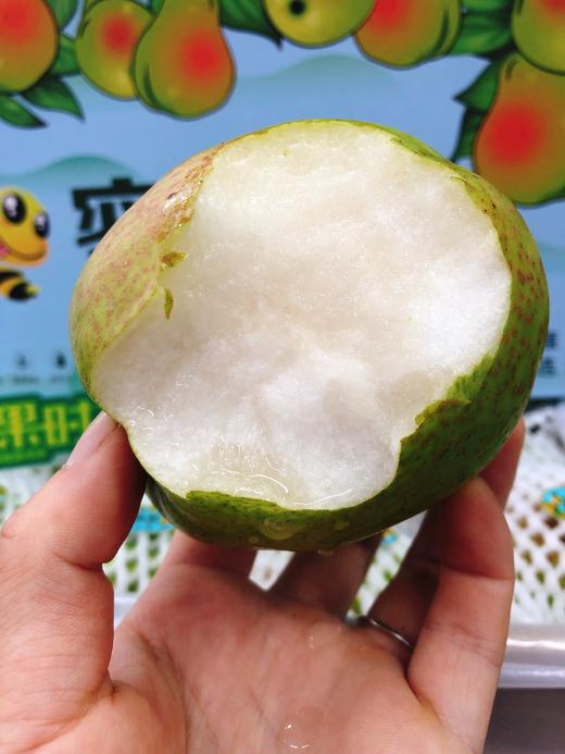 蜜蜂梨一箱（拼团） 商品图3