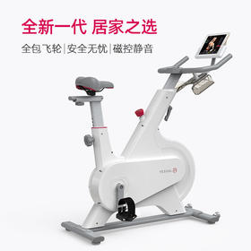 YESOUL野小兽动感单车家用超静音M1