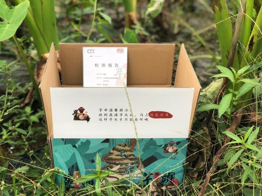 广西特产【正宗荔浦芋头】粉糯香甜 “芋”罢不能 乾隆钦点 原产地直发！ 商品图9