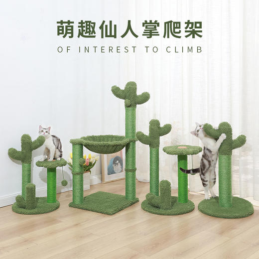 伊丽仙人掌猫爬架 商品图8