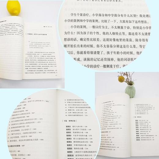 (仓发) 学生问题诊疗·实战篇（大教育书系）/长江文艺出版社/王晓春/9787570221837 商品图3
